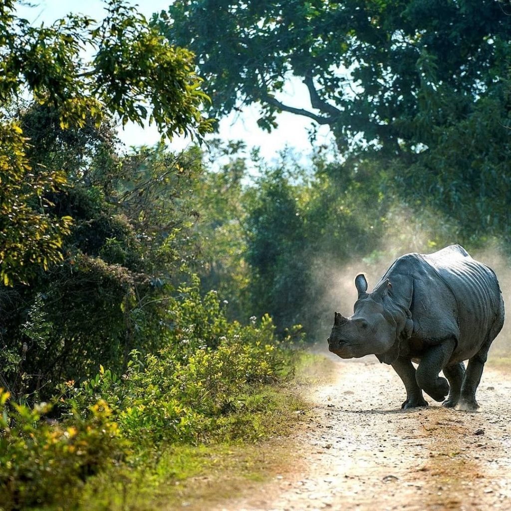  07 nights & 08 days Kaziranga,Guwahati,Shillong Cherrapunji